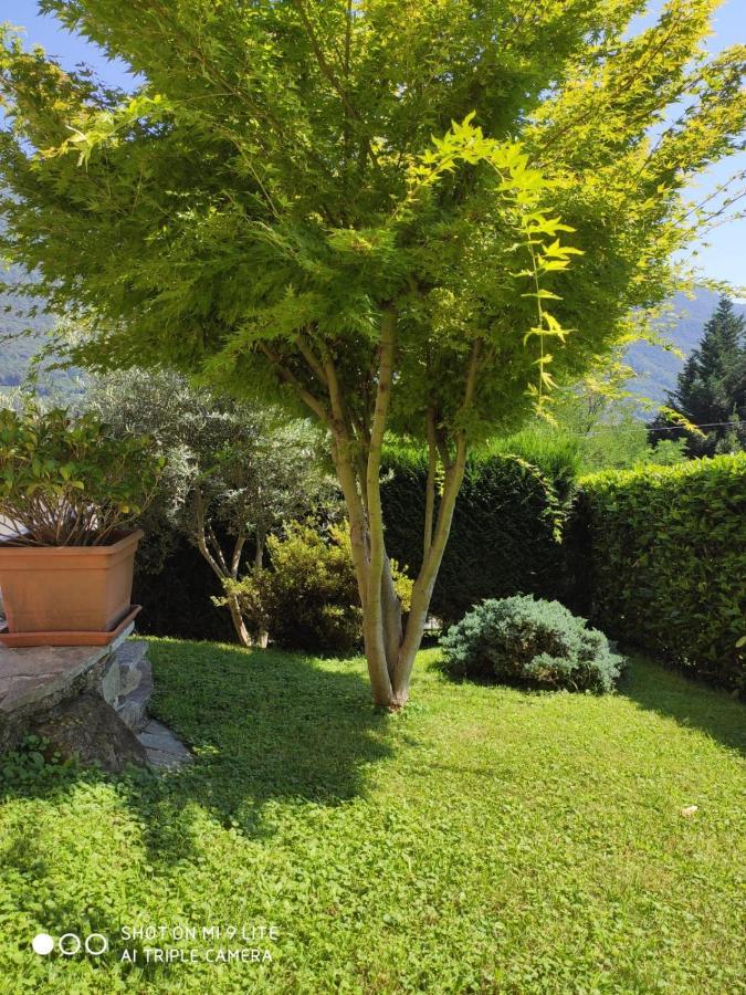 Casale Corte Cerro Casa Vacanza Il Glicine מראה חיצוני תמונה